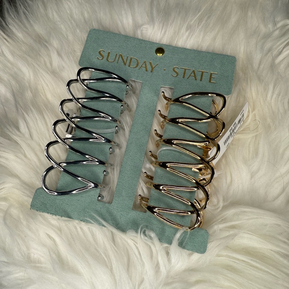 Silver and Gold Claw Clips Set